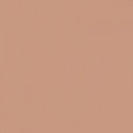 Paint and Paper Library Wild Silk Paint